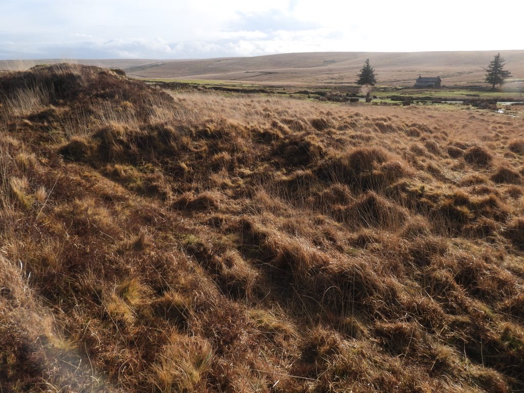 25b. Building Foundations in Workings