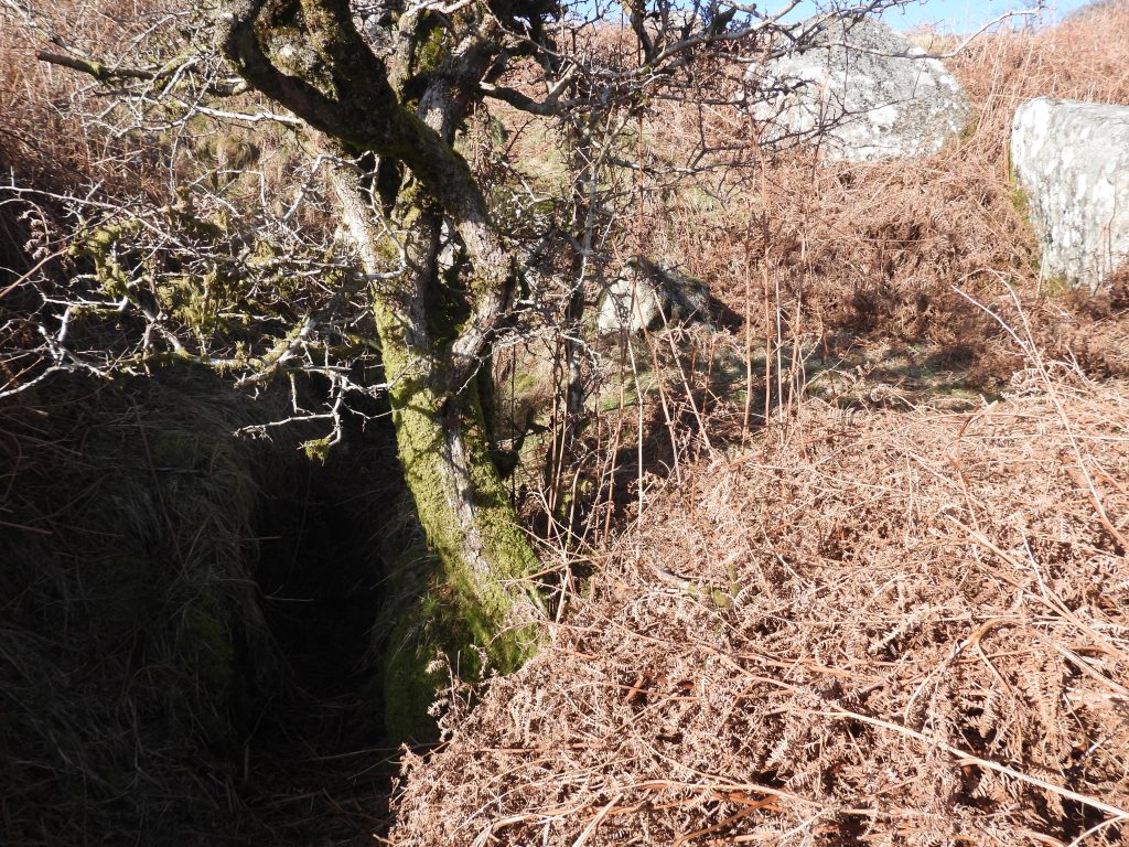 2c. Wheelpit and Flat working area