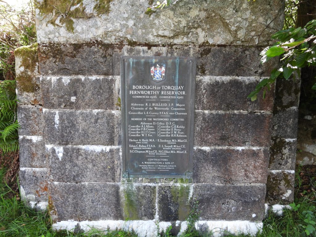 3. Plaque