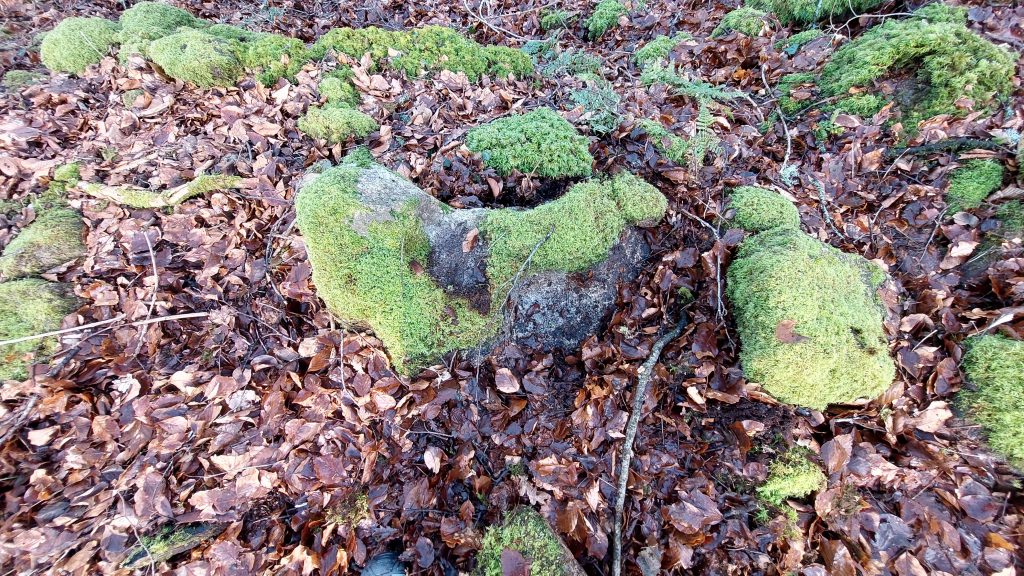 3a. Mortarstone nearest the mill