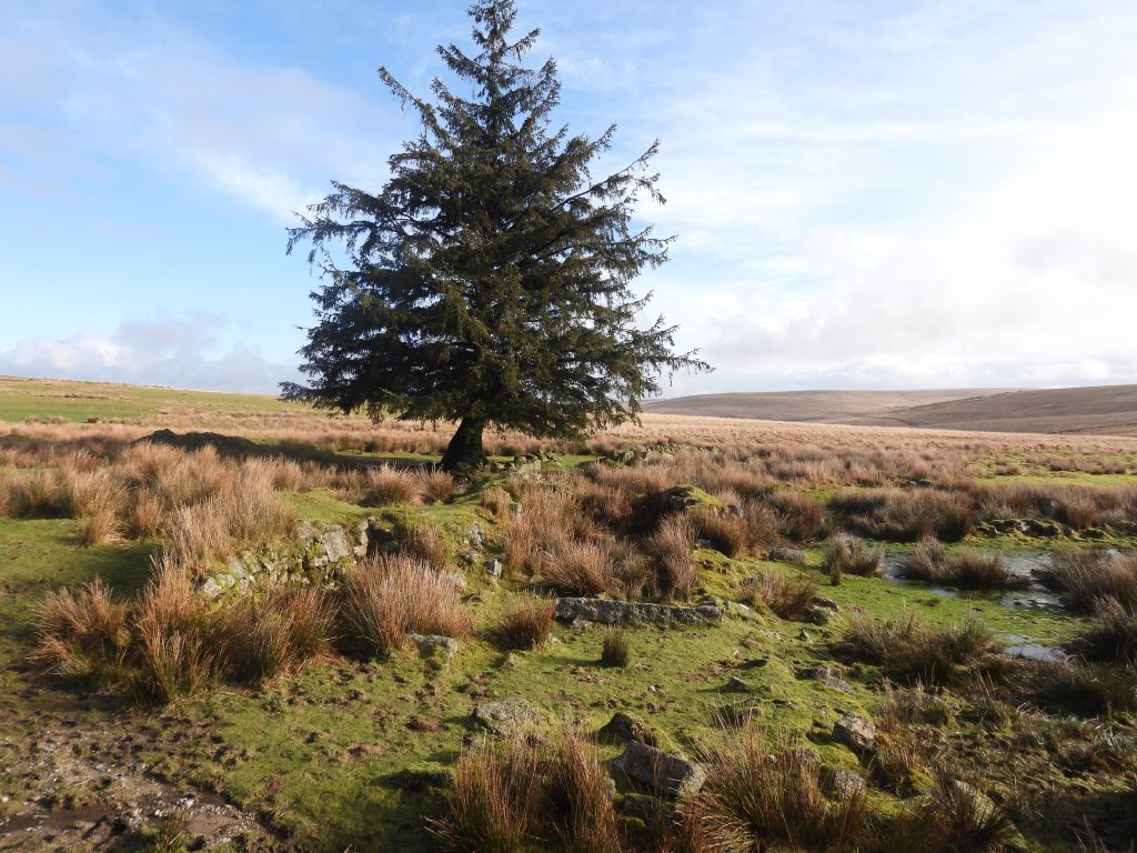 3a. Original Farm 130226