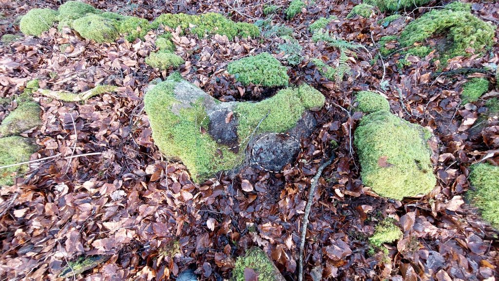 3b. Mortarstone nearest the mill