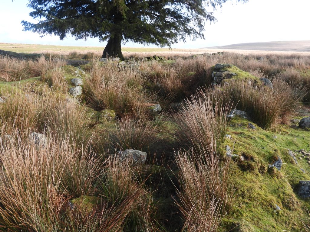 4. Original Farmhouse and Cattleshed