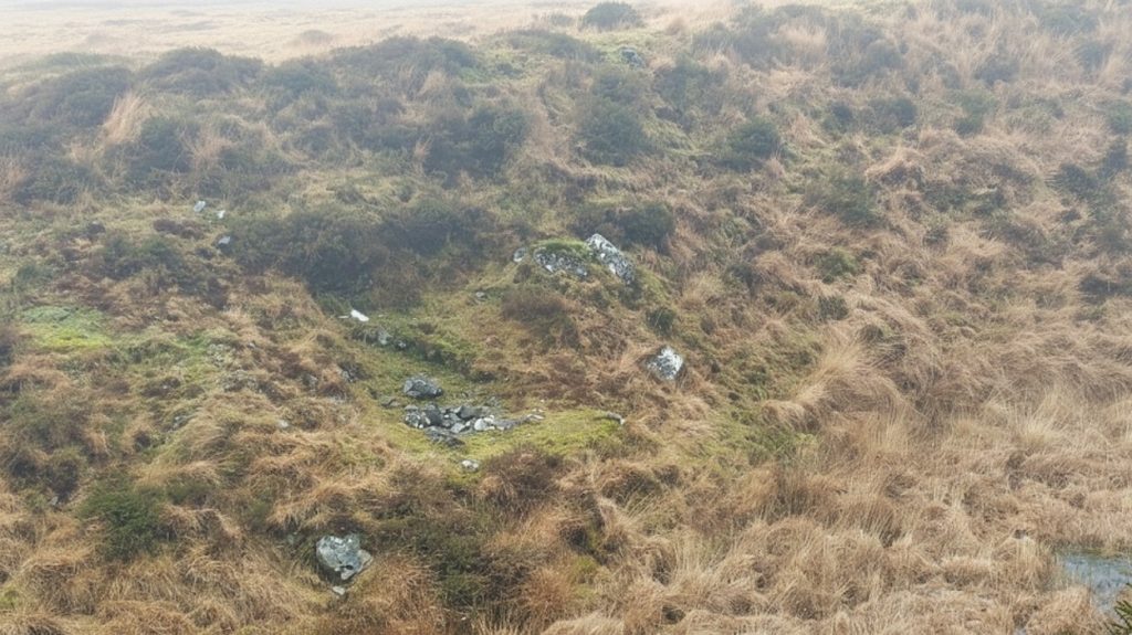 5. Possible Structure