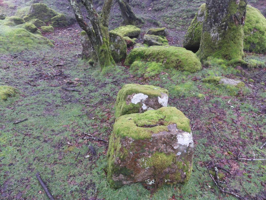 5. Unfinished Mould 1