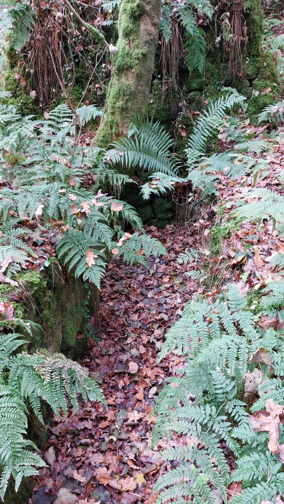 5. Wheelpit in autumn