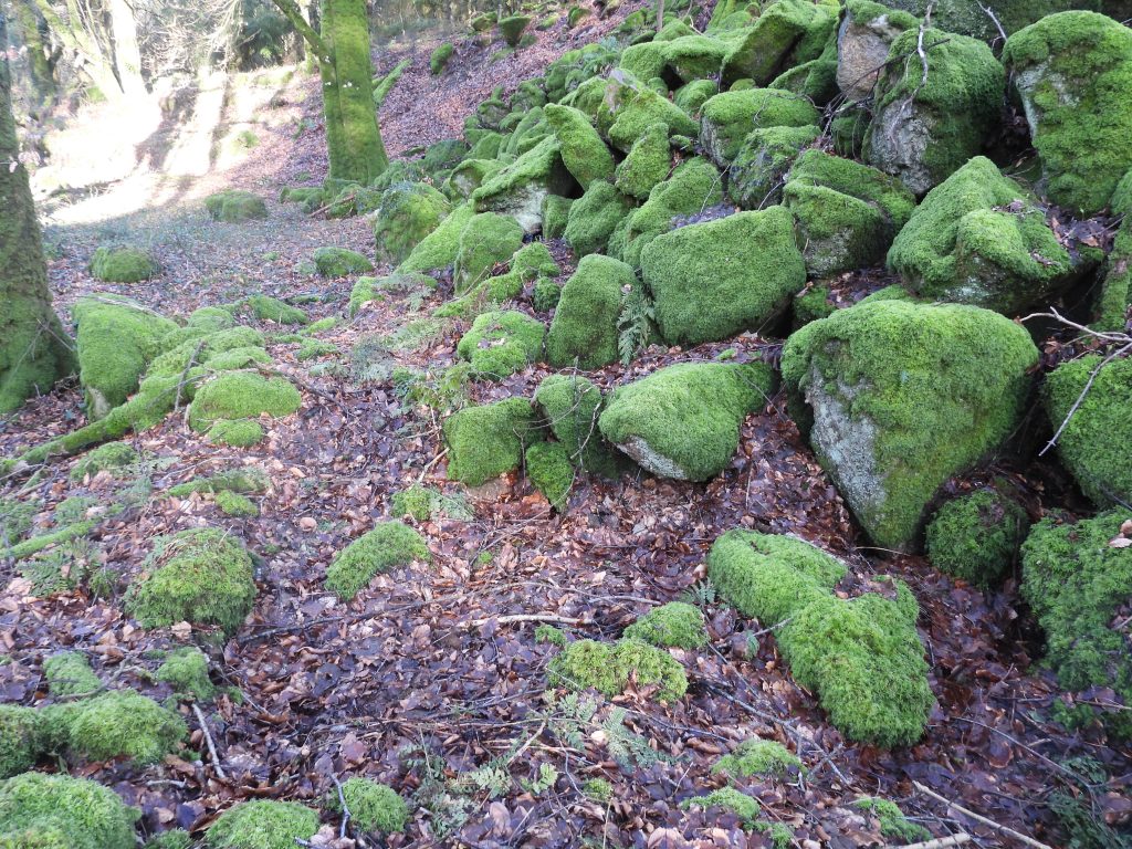 5a. North East end of mill