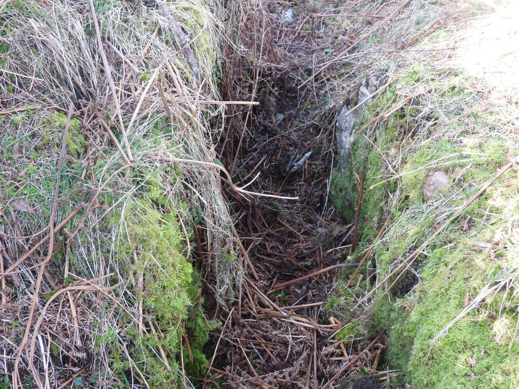 5a. Wheelpit from south