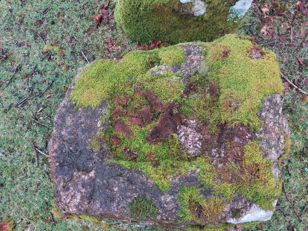 5b. Unfinished Mould b