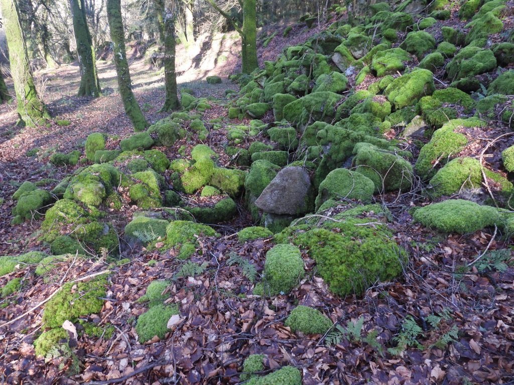 5c. North East end of mill