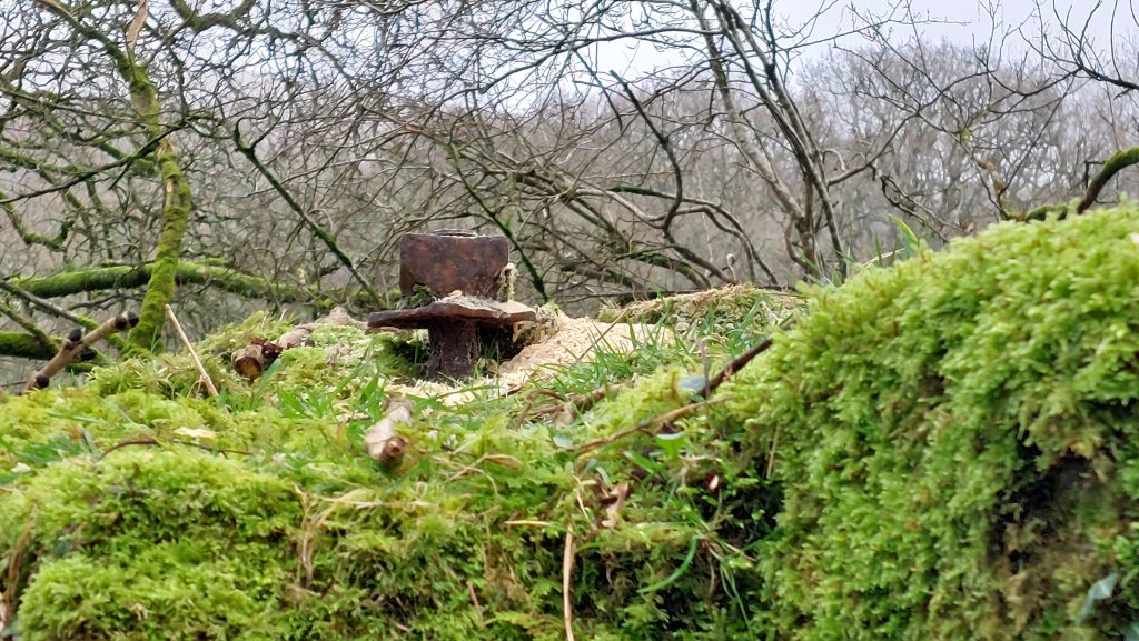 5d. Nut of Wheelhouse