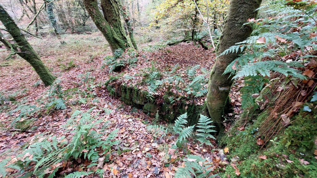 6. Wheelpit and flat area