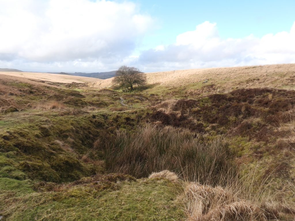 6b. Shaft near Devonport Leat Tunnel west
