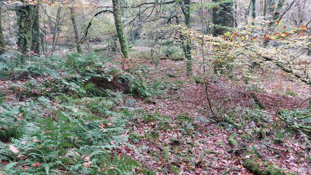 7. Flat Area - perhaps for stamps