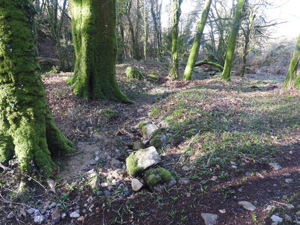 7. Possible tailrace