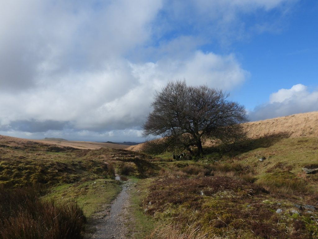 8. Approaching old farm