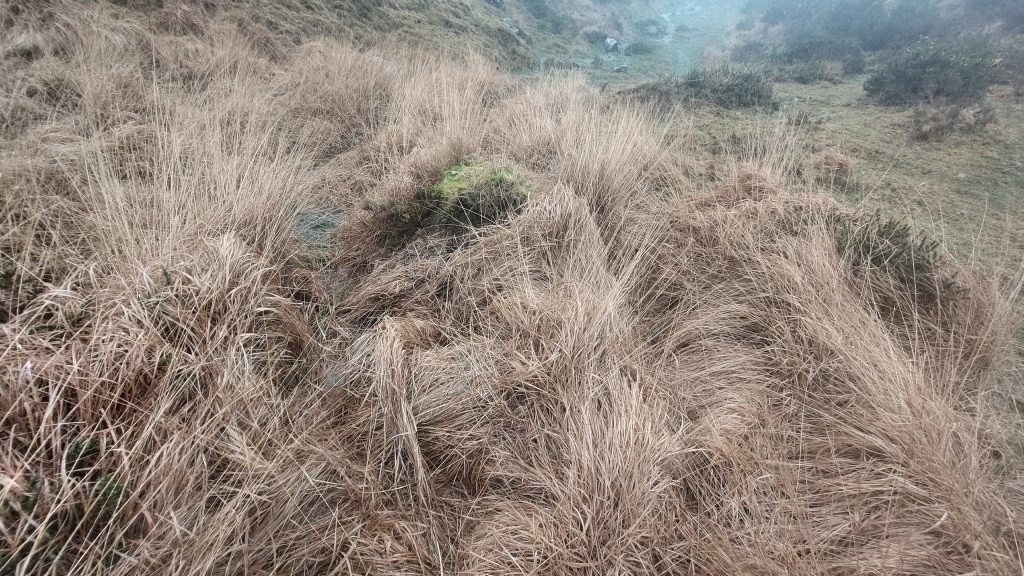 8. Possible Settling Pit