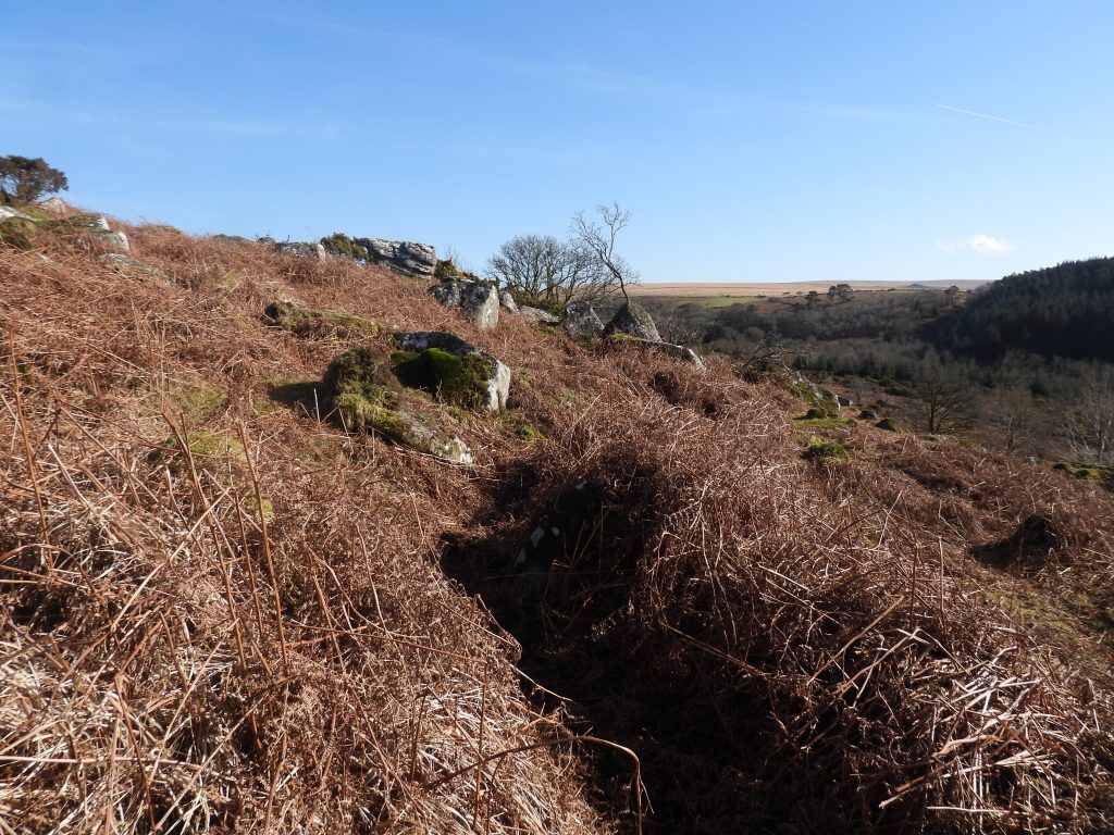 8b. Leat leaving mill