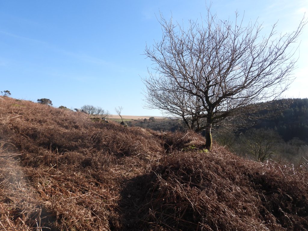 8c. Leat leaving mill
