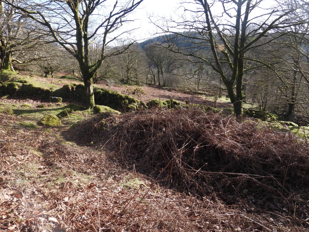 8f. Leat near prospecting pits