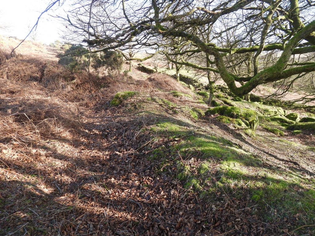 8g. Leat near prospecting pits