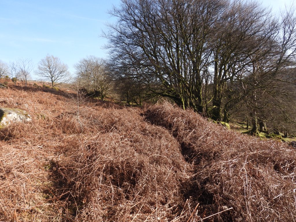 8h. Leat below Snappers Tor