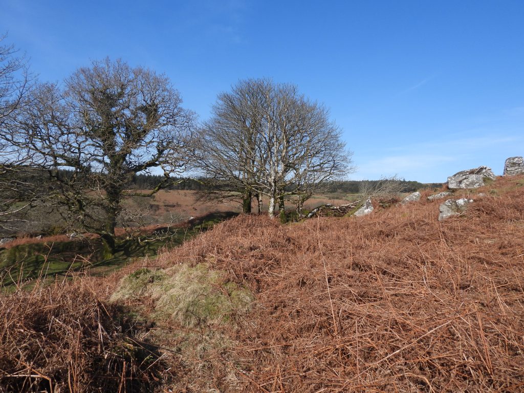 8i. Leat below Snappers Tor