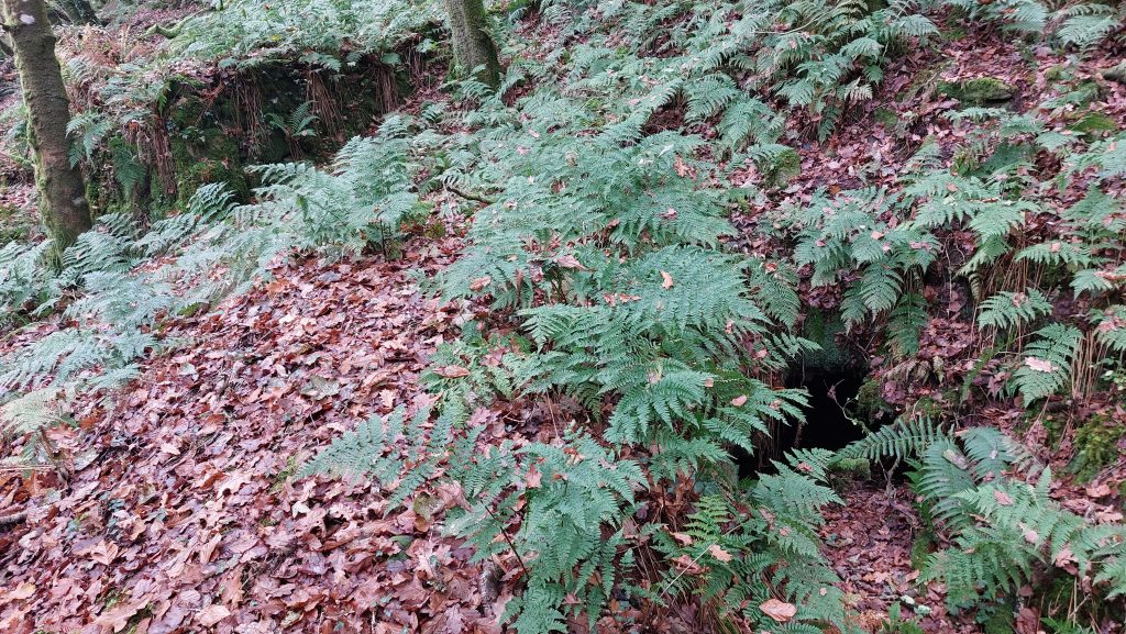 9. Adit entrance with  wheel embankment beyond