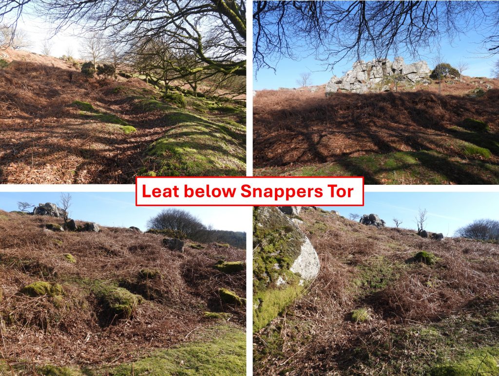 9. Leat below Snappers Tor