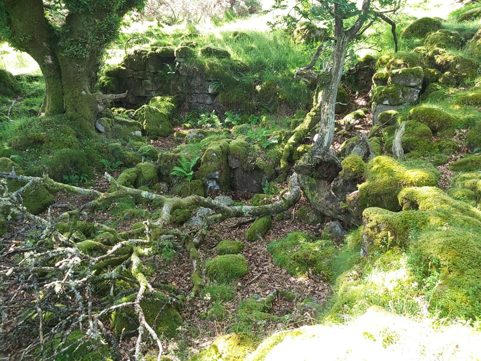 Table 11. Week Ford Lower