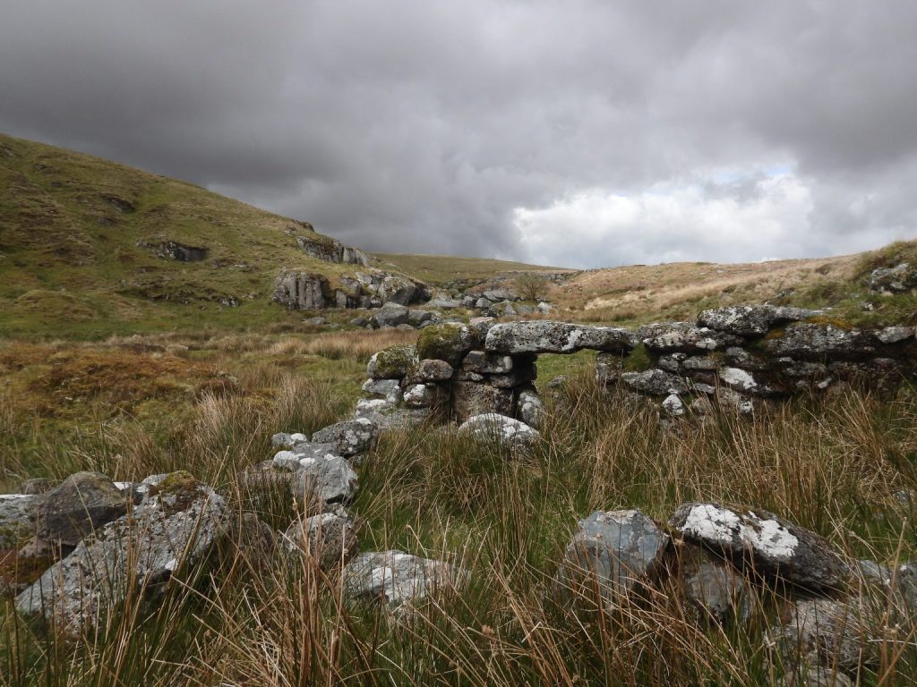 Table 2. Broad Falls