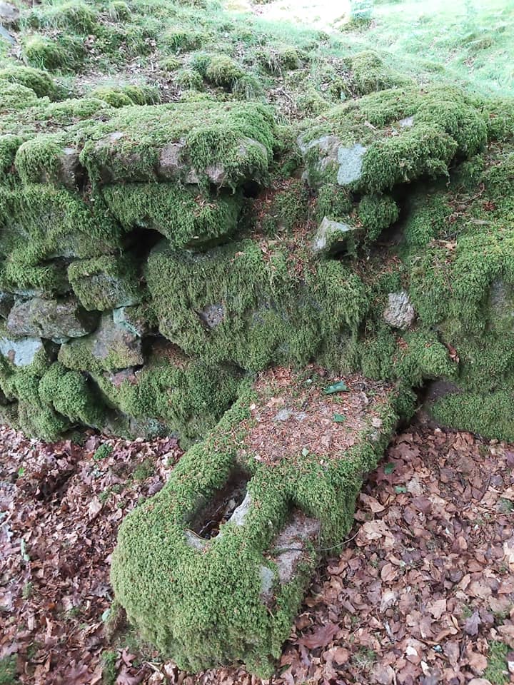 Table 5. Glazemeet A