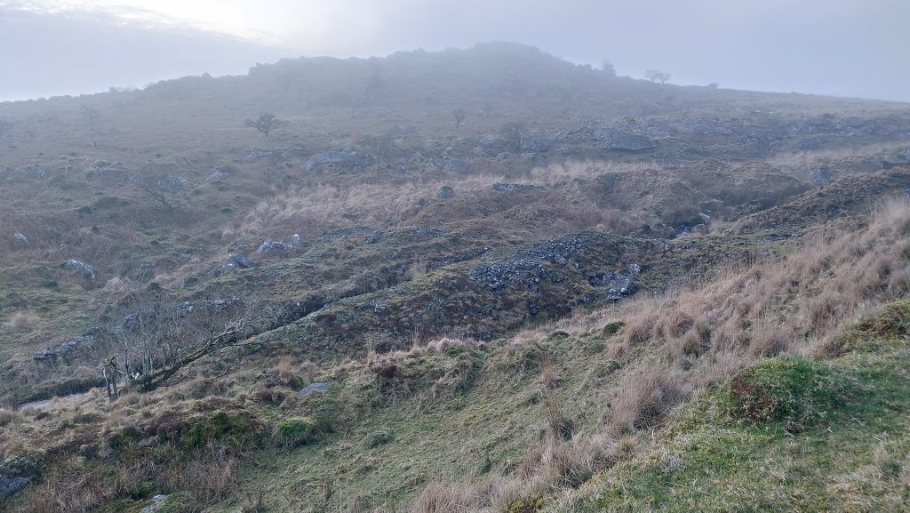 11. Alluvial Streamworks near Combeshead Tor
