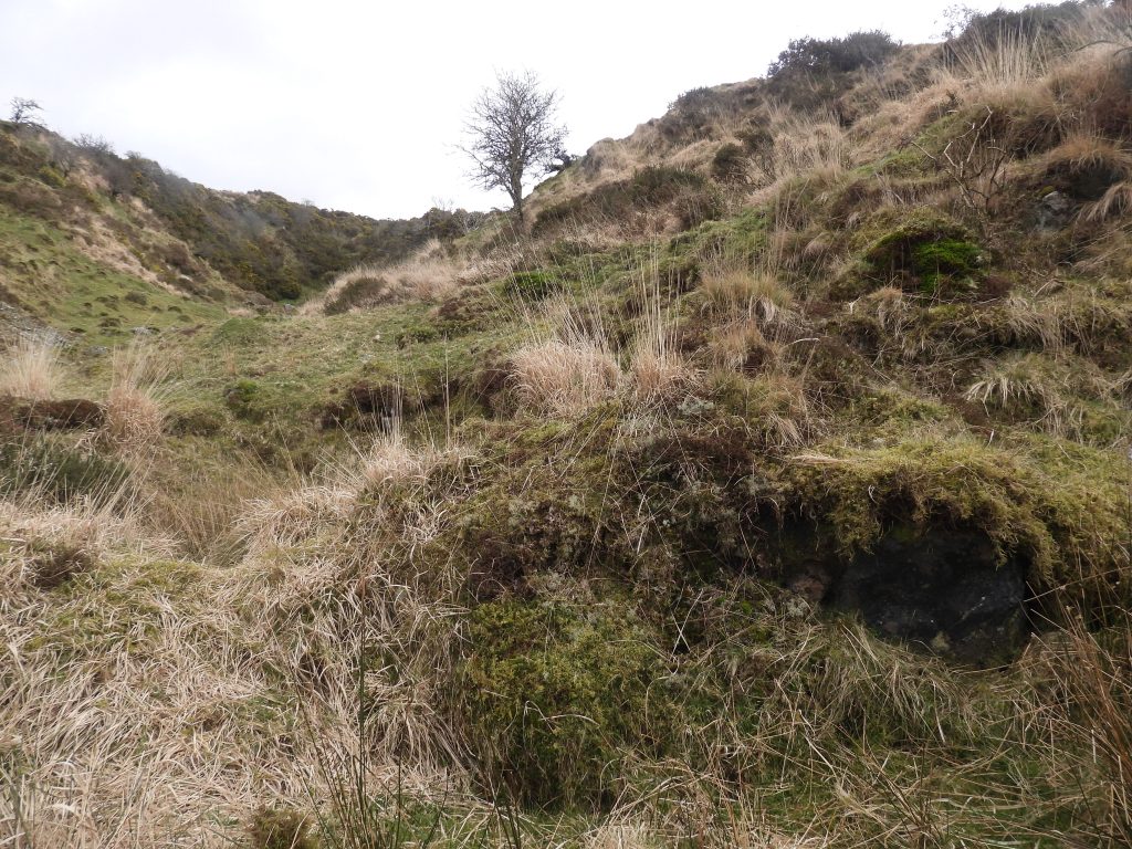 11. Between the Shelter and the Shaft