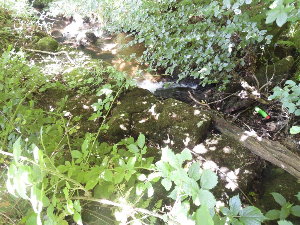 11. In search of the potential second mill