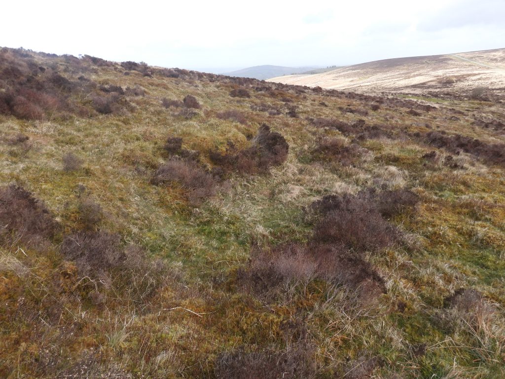 11a. Building in Pound