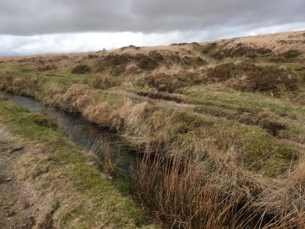 11a. Openworks C above Devonport Leat to east of Crazywell Cross
