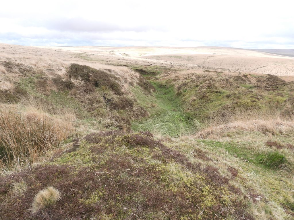 11b. Openworks C east of Crazywell Cross above Devonport Leat