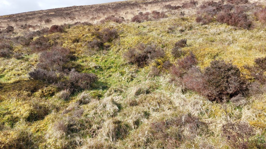 11c. Building in Pound