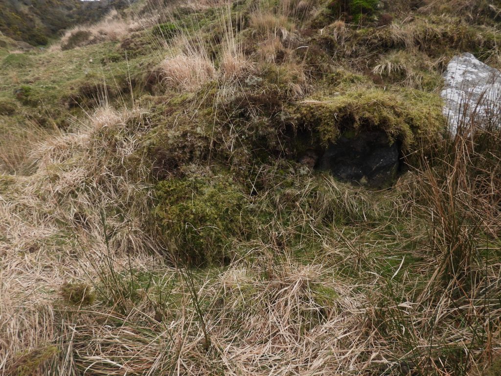 12. Mortar under Moss covered Bank