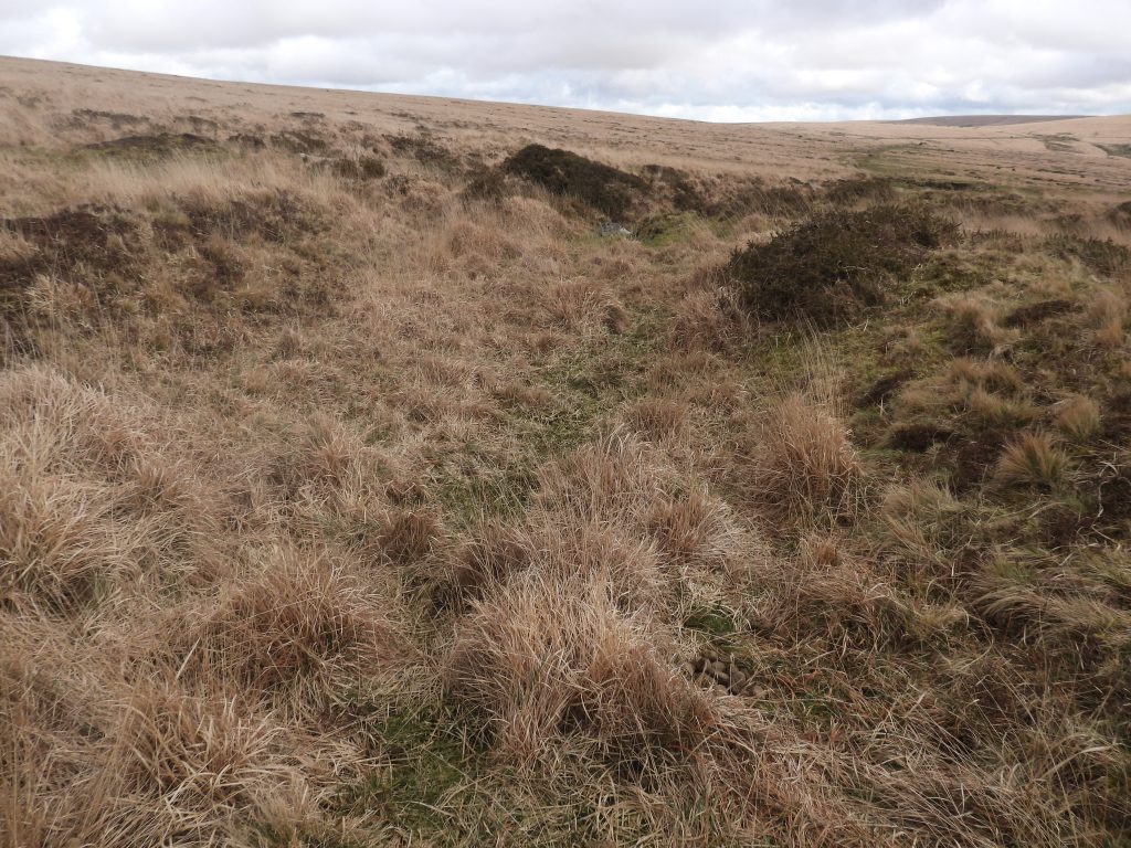 12a. Reservoir 4 at SX58468 70637