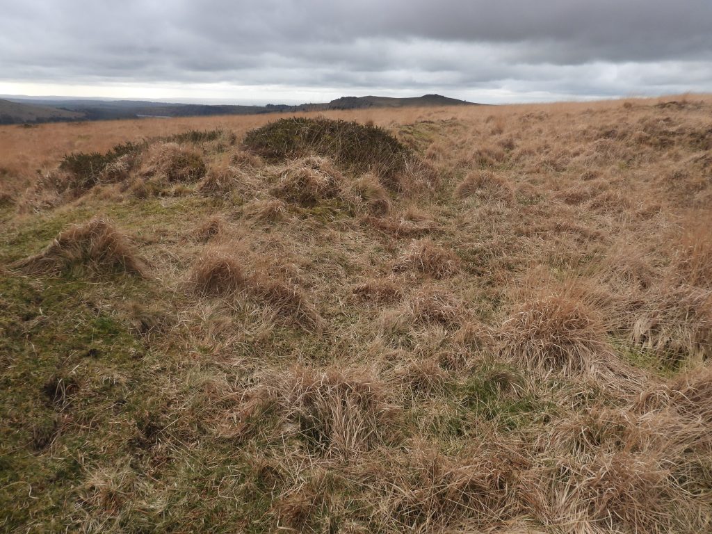 12c. Reservoir 4 at SX58468 70637