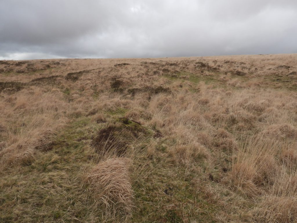 13a. Reservoir 5 at  SX58569 70618