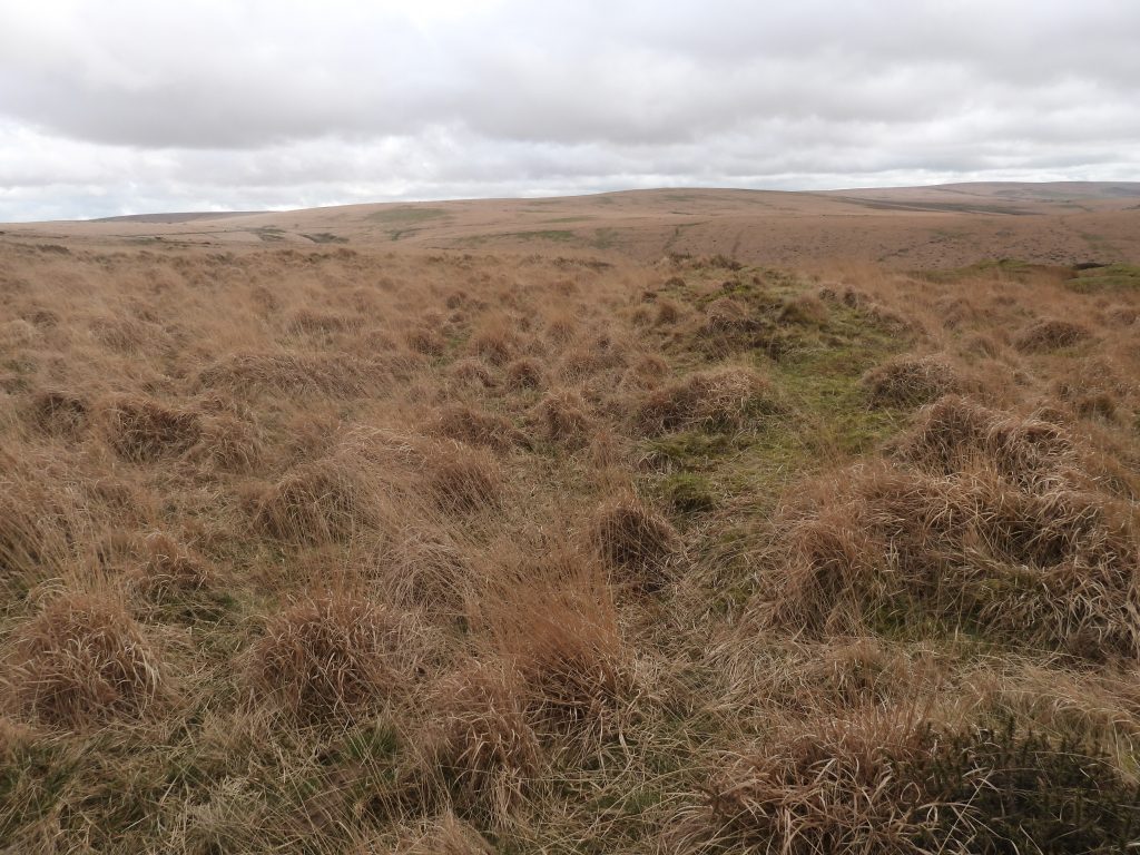 13b. Reservoir 5 at SX58569 70618