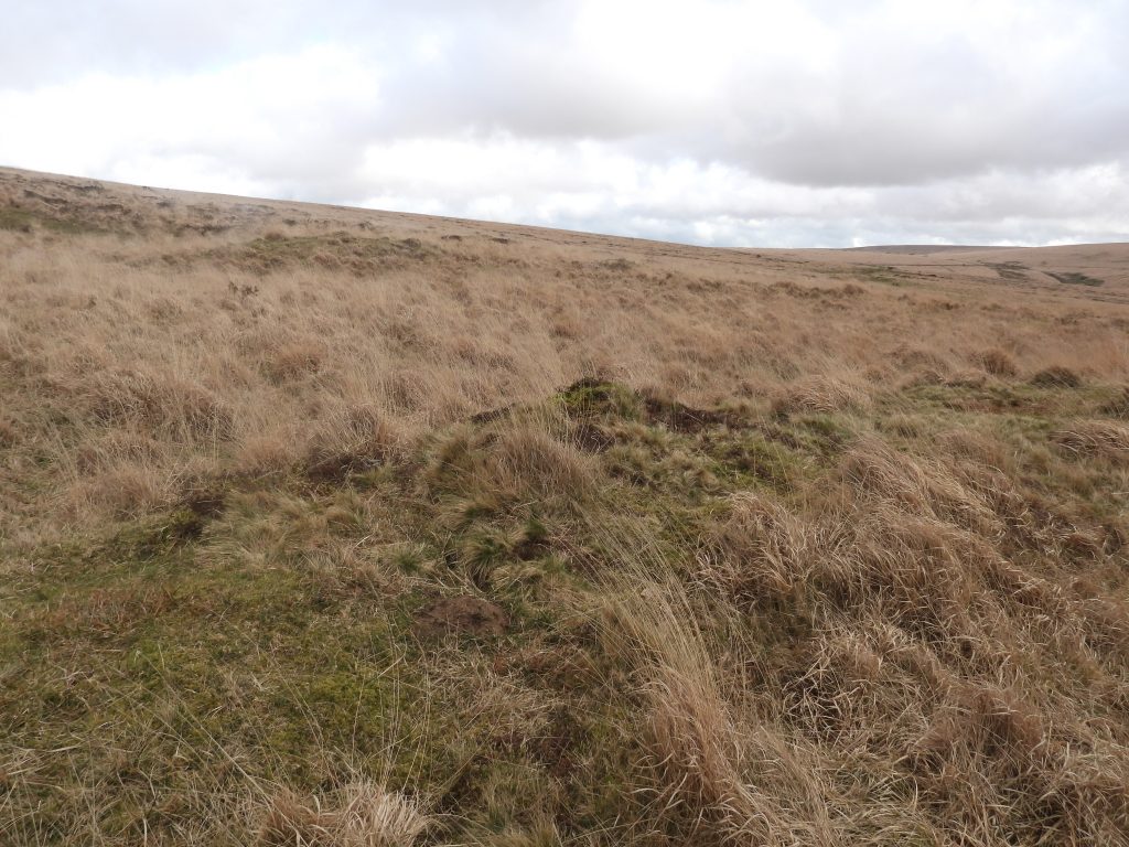 13c. Reservoir 5 at SX58569 70618