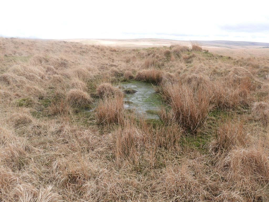 14a. Reservoir 6 at SX58594 70635