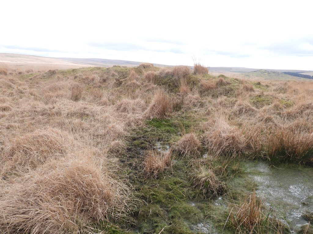 14b. Reservoir 6 at SX58594 70635