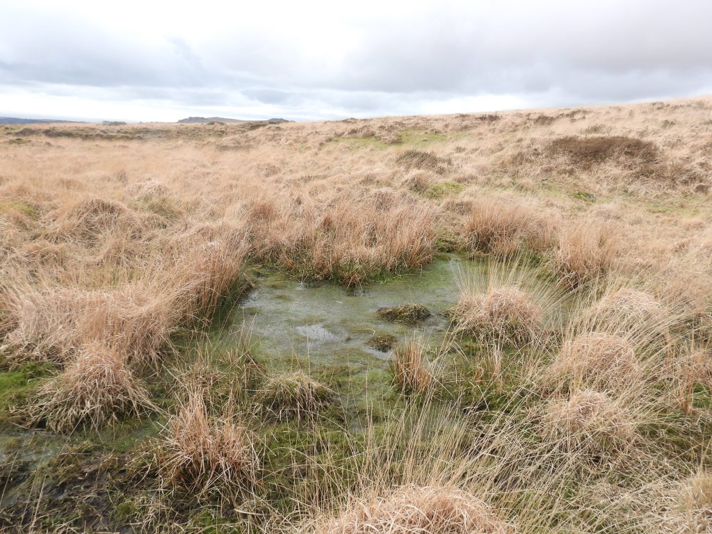 14c. Reservoir 6 at SX58594 70635