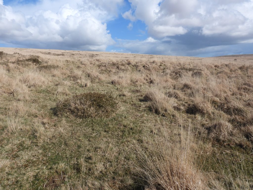 15a. Crescent Earthwork