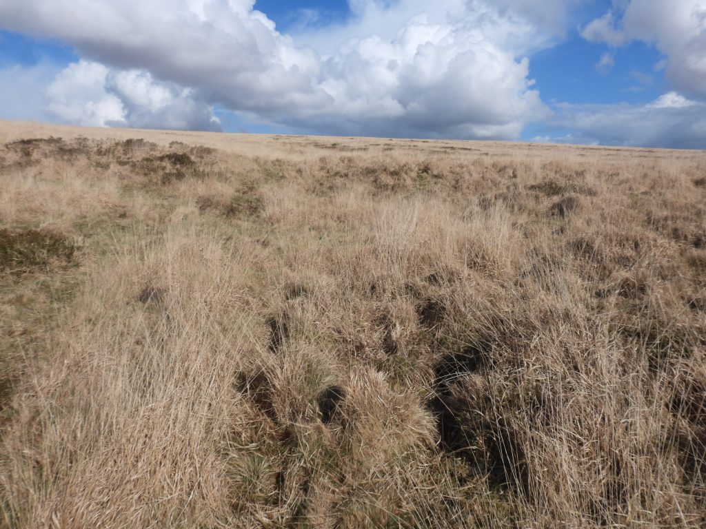 15b. Crescent Earthwork